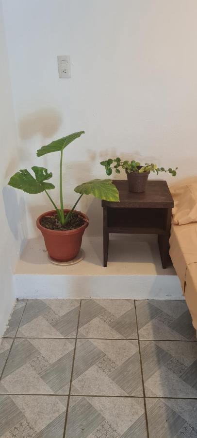 فندق Casa Choco مازونتي المظهر الخارجي الصورة